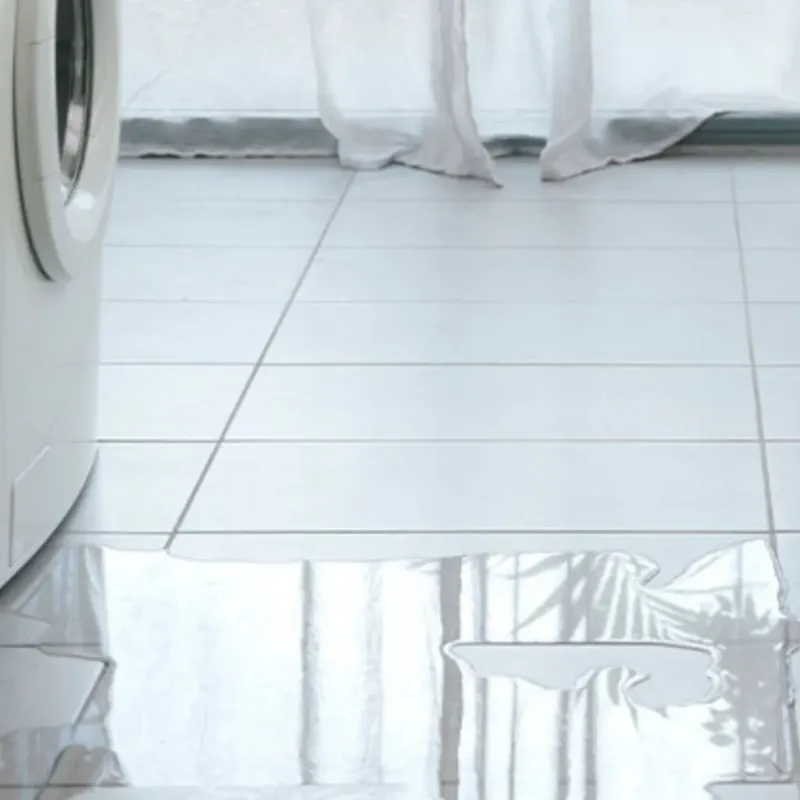 Appliance Leak Cleanup in Country Club, CA