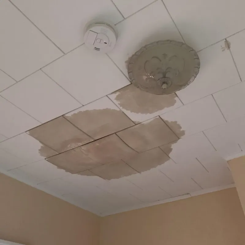 Ceiling Water Damage Repair in Country Club, CA