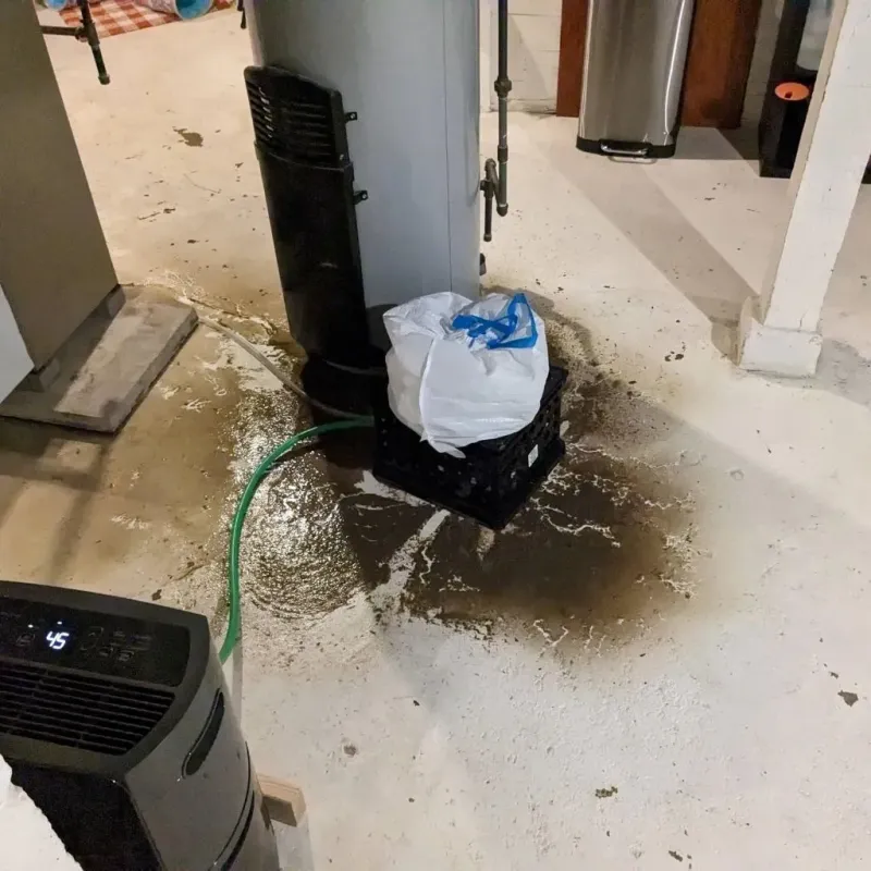 Sewage Backup Cleanup Service in Country Club, CA